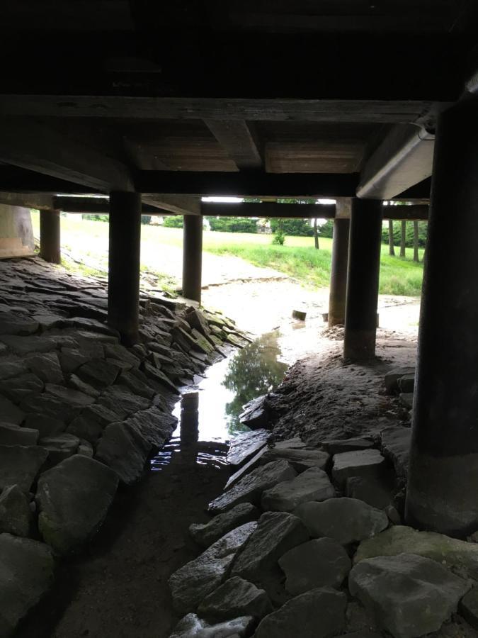 Agroturystyka "Pod Bluszczem" Krasnobród المظهر الخارجي الصورة